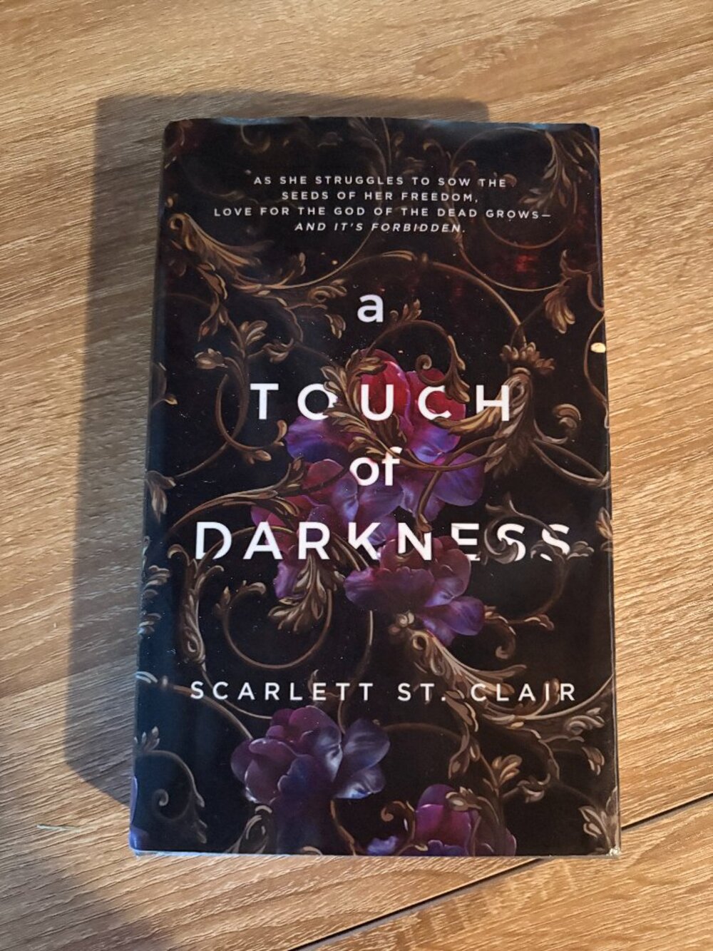 A Touch of Darkness by Scarlett St. Clair